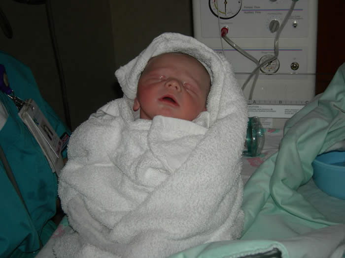 Fresh out of the Oven